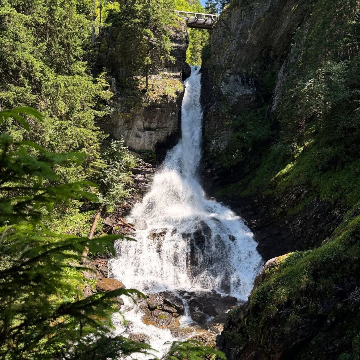 A waterfall pouring through a rocky gorge between pine trees, with a footbridge above it